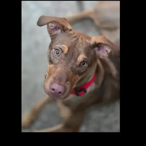 Arya photo 3