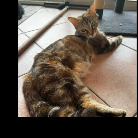 Fidji