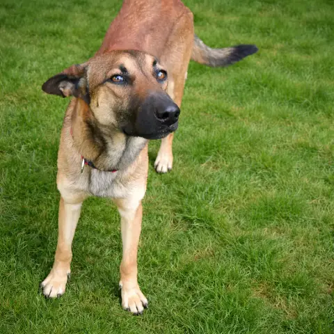 Ajax photo 2