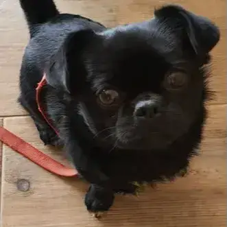 Oscar