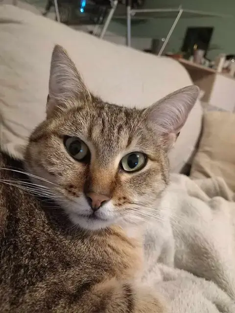 Mimi