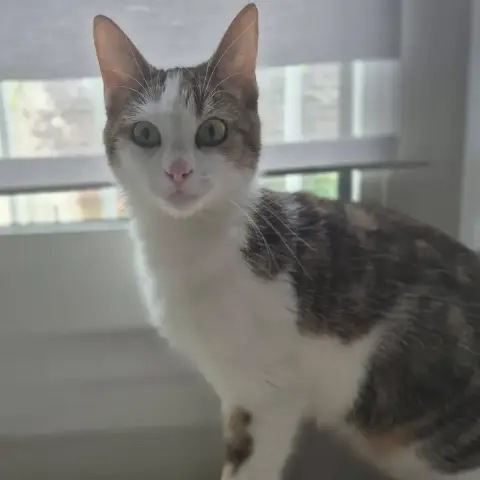 Anita photo 3