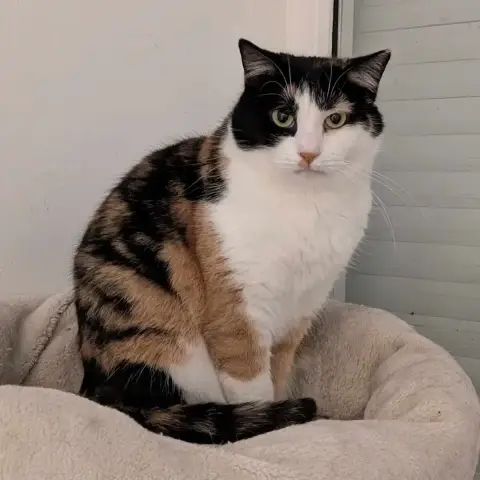 Mia