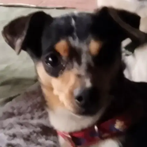 Pablo photo 2