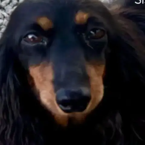 Sissi photo 3
