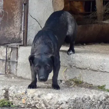 Kiara photo 3