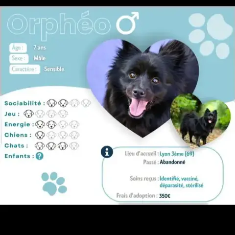 Orphéo