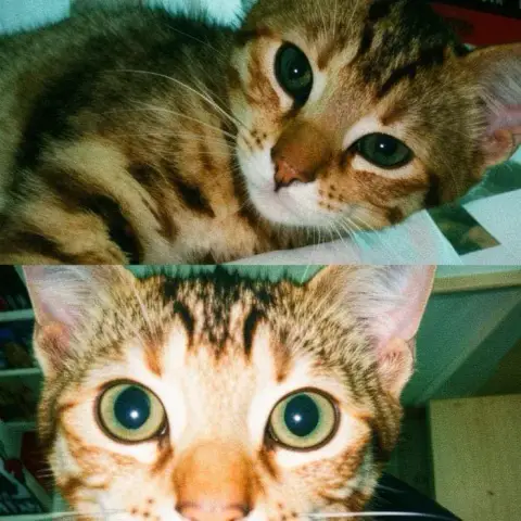 Bonbon photo 2