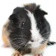 John photo 2