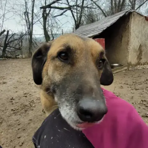 Minnie