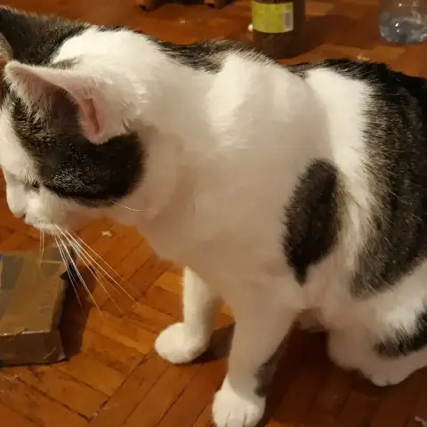 Zoe