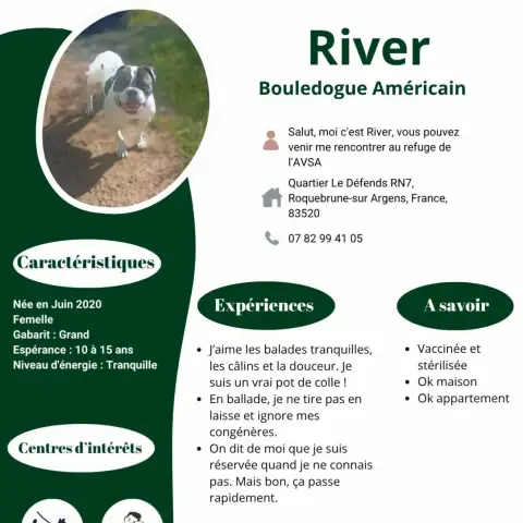 River photo 2