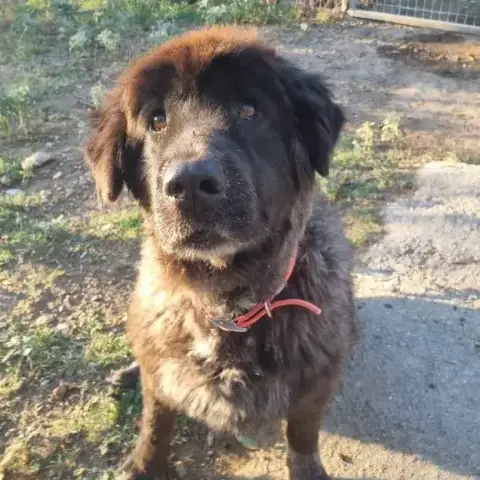 Greta photo 2