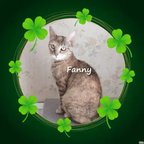Fanny