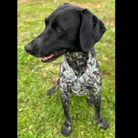 Mika photo 2