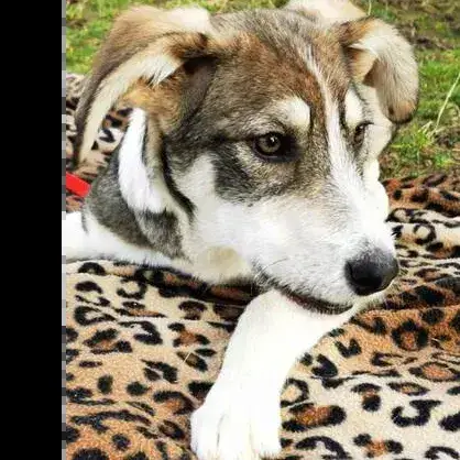 Reuben photo 2