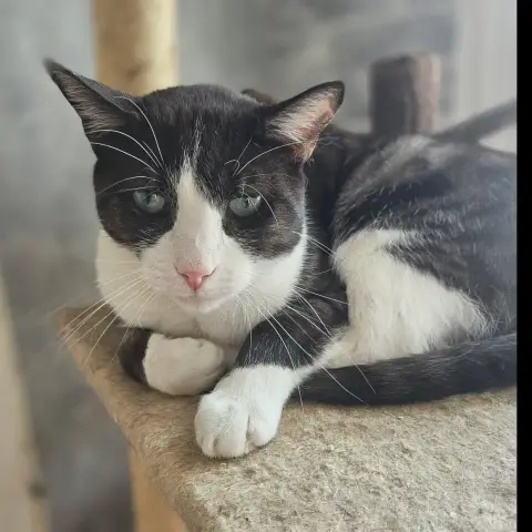 Alan