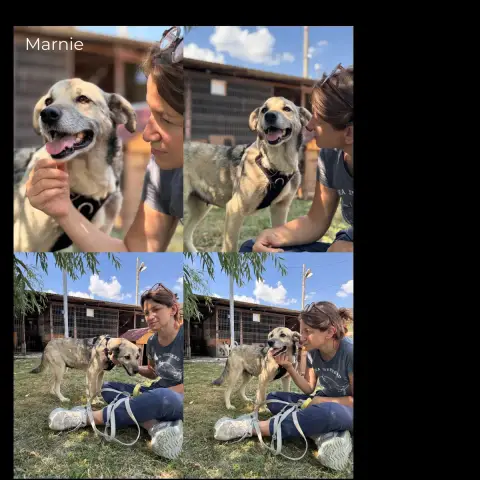 Marnie