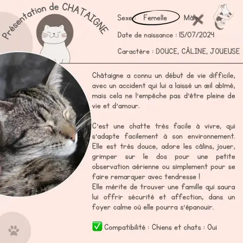 Châtaigne