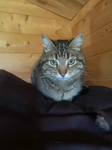 Milla photo 2
