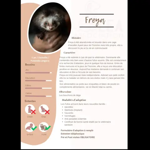 Freya