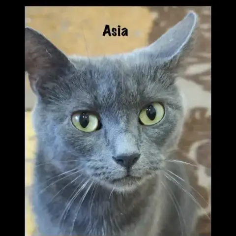 Asia