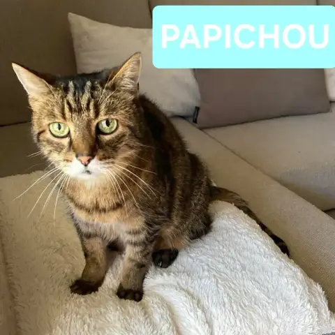 Papichou