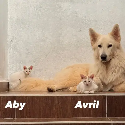 Aby photo 3