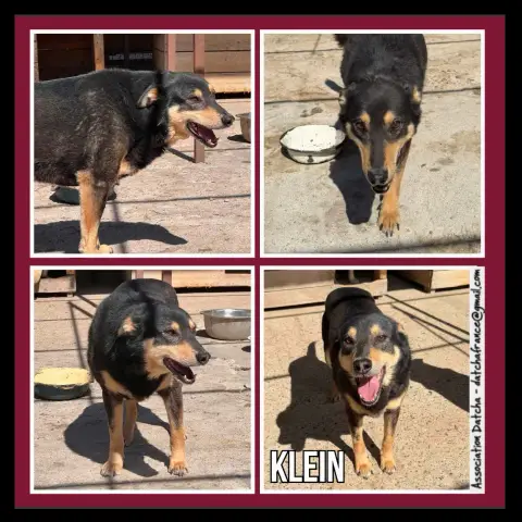 Klein