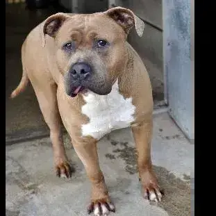 Taz photo 3