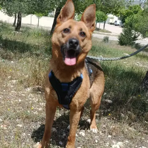 Luna