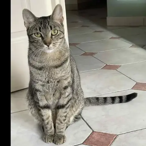 Marco