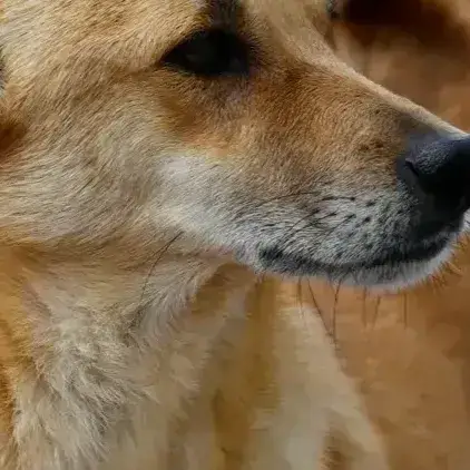 Rocket photo 2