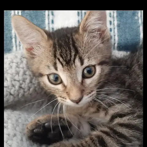 Jack photo 2