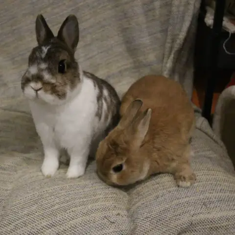 Nori Et Horus photo 2