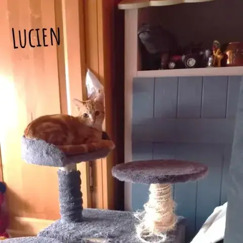 Lucien