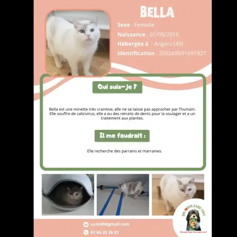 Bella