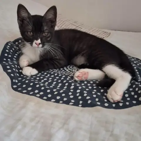 Patty photo 3