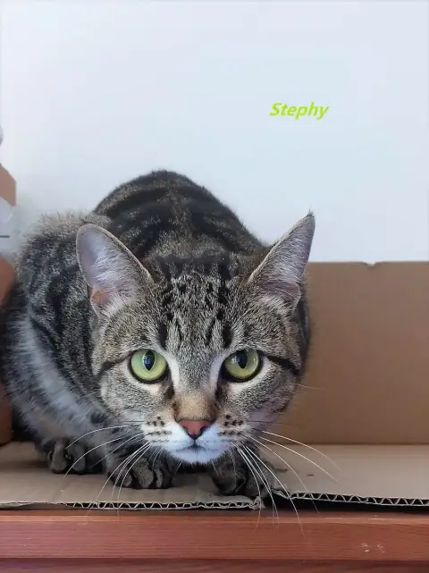 Stephy photo 2
