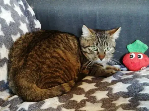 Maya photo 3