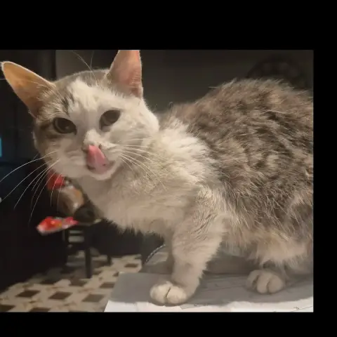 Jolie