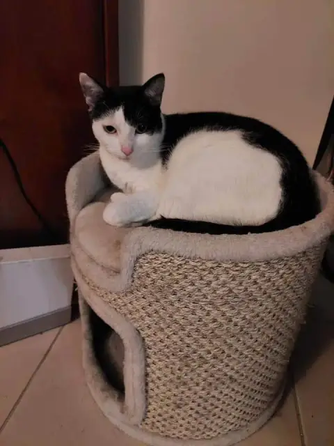 Mina photo 2