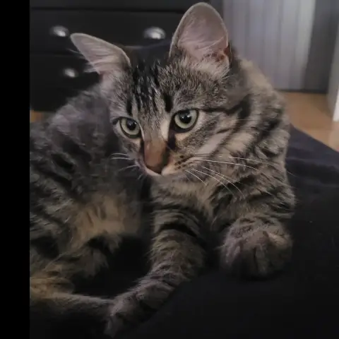 Mimi photo 2