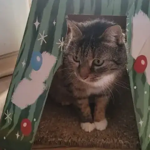 Holly photo 2