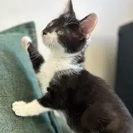 Edgar
