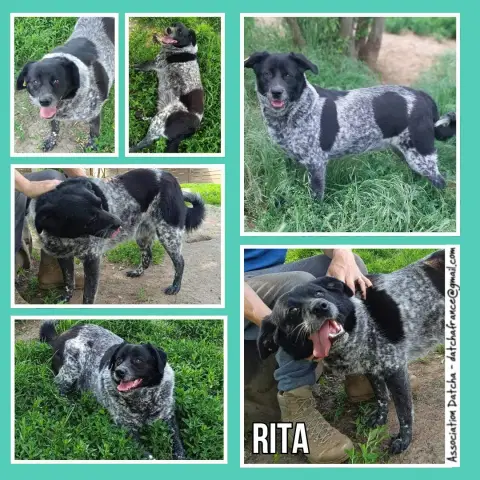 Rita