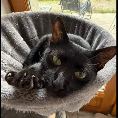 Freya photo 2
