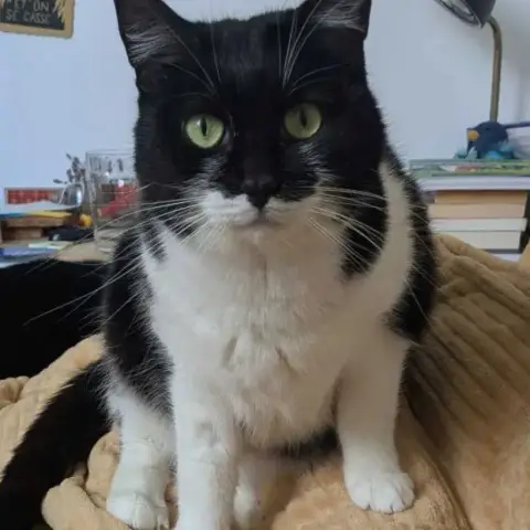 Salomé