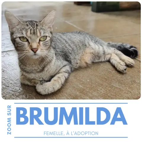 Brumilda