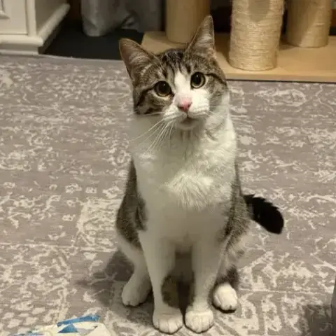 Junior